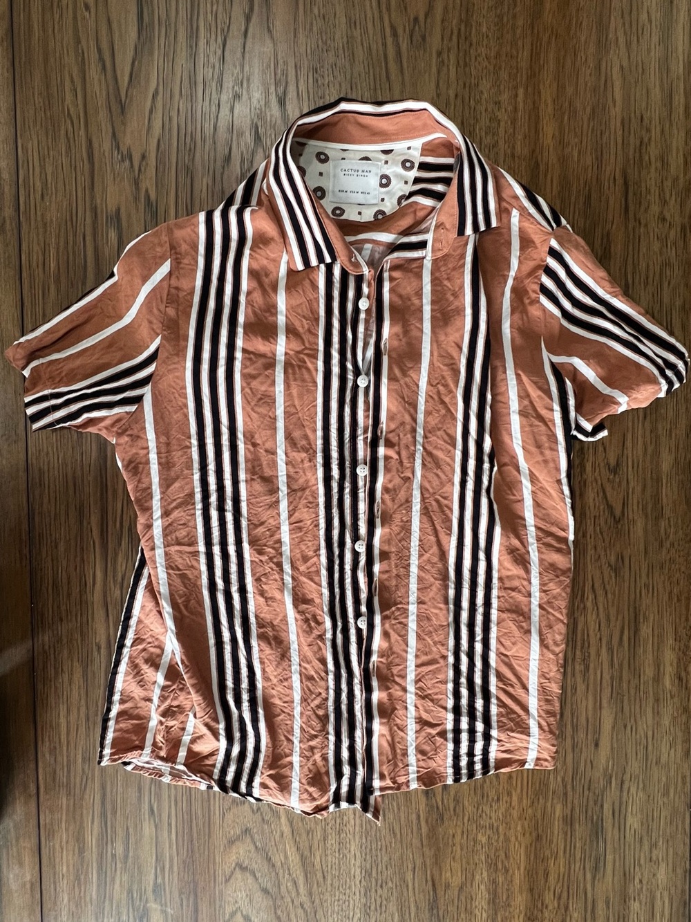 Cactus Men's Rust and White Vertical Stripe Short-Sleeve Button-Up